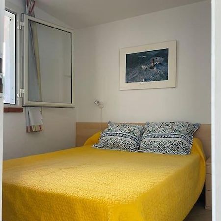 Appart. / Clim / Piscine / Mer A 300M Apartment Linguizzetta Ngoại thất bức ảnh
